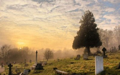 Inzicht in de kosten en financiële aspecten van crematiediensten